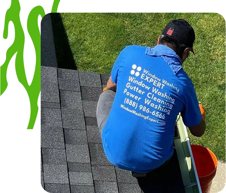 professional gutter cleaner