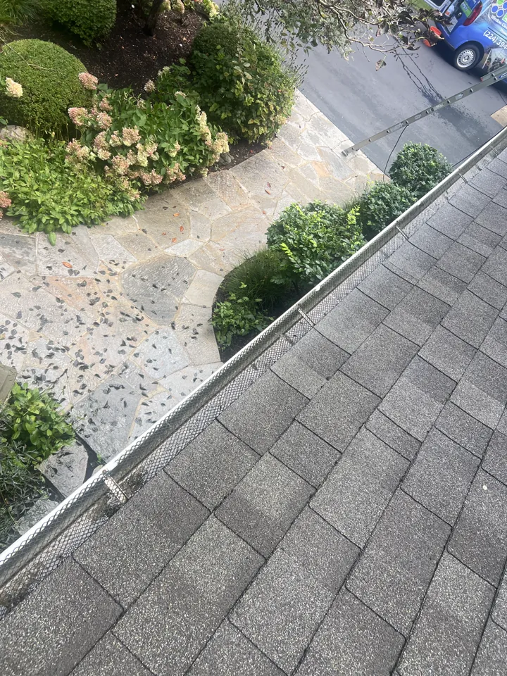 Screen gutter guards reseated along the front roofline of a Libertyville home after gutter cleaning, above landscaped beds and a flagstone walkway