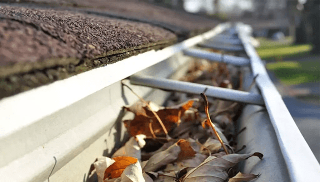 gutter cleaning company
