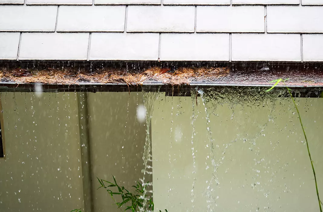 Rainwater overflowing the front edge of a clogged gutter on a Chicago-area home