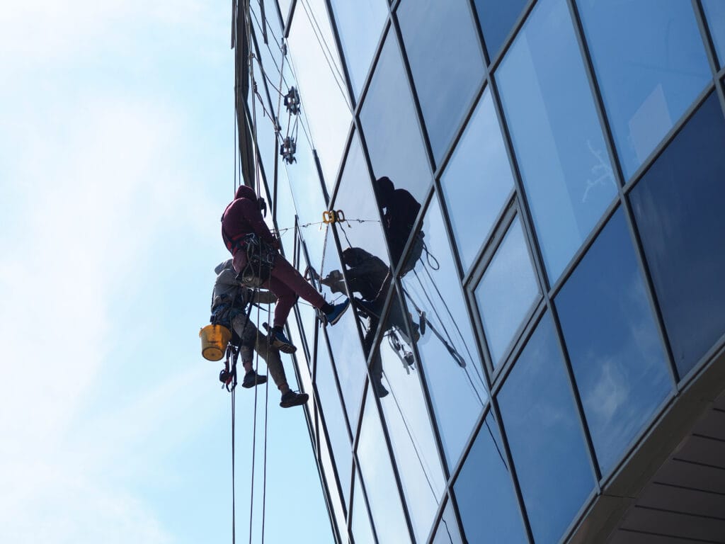 professional window washers