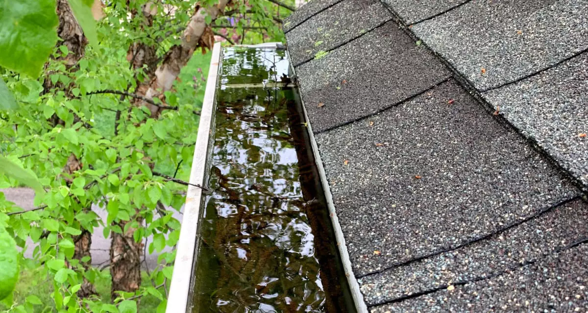 Standing water pooling in a gutter blocked with leaf debris after fall leaf drop