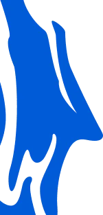 blue-half