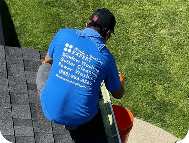 Gutter cleaning project in Libertyville, IL